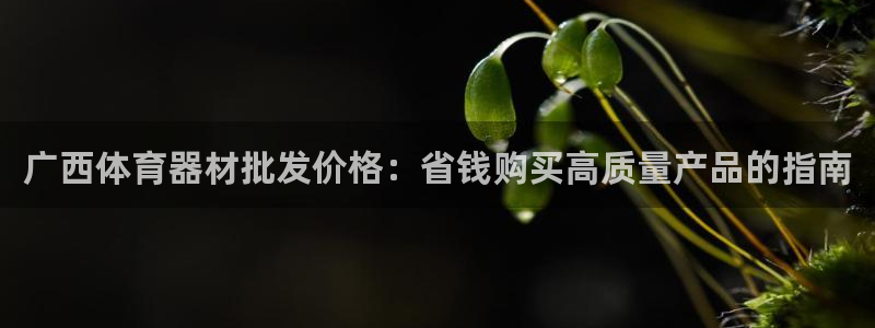 耀世娱乐优 411o31 耀世：广西体育器材批发价格