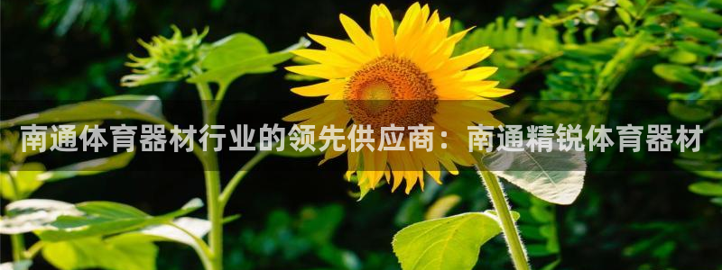 耀世平台注册网址是多少啊：南通体育器材行业的领先供应