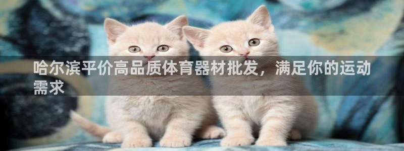 耀世娱乐可以玩吗：哈尔滨平价高品质体育器材批发，满足