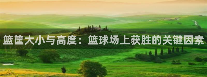 耀世平台开户要求是什么：篮筐大小与高度：篮球场上获胜
