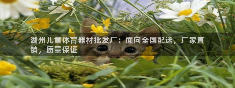 耀世是什么意思：湖州儿童体育器材批发厂：面向全国配送