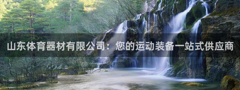 耀世平台的运营模式：山东体育器材有限公司：您的运动装