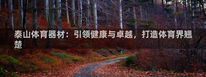 耀世集团董事长儿子：泰山体育器材：引领健康与卓越，打