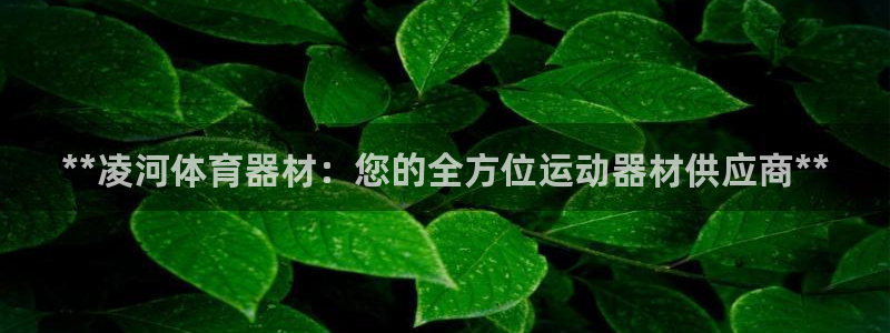 耀世平台主管代理怎么做：**凌河体育器材：您的全方位