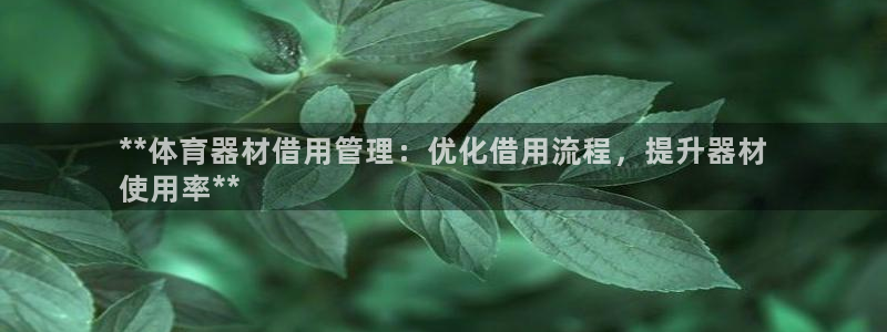 耀世天下图片头像：**体育器材借用管理：优化借用流程