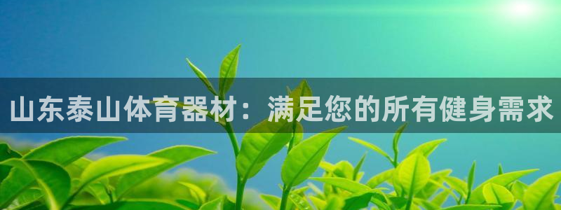 耀世挑战第二关怎么过：山东泰山体育器材：满足您的所有