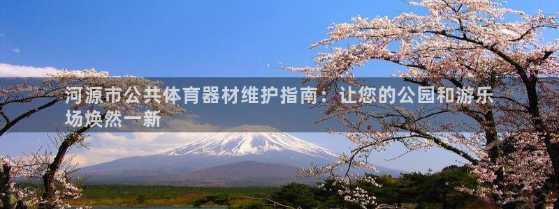 耀世盛典手游下载安装：河源市公共体育器材维护指南：让