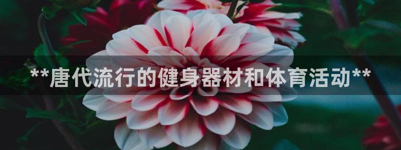 耀世娱乐总代：**唐代流行的健身器材和体育活动**