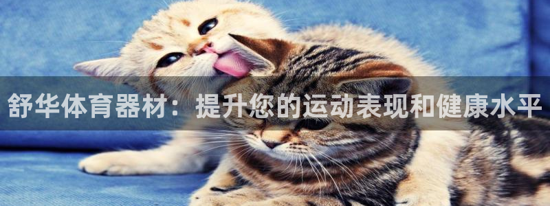 耀世盛典手游下载：舒华体育器材：提升您的运动表现和健
