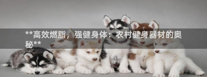 耀世微光曲谱：**高效燃脂，强健身体：农村健身器材的