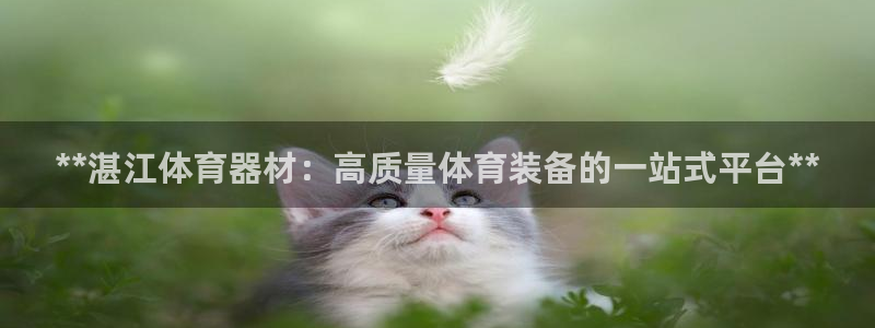 耀世平台代理多少钱：**湛江体育器材：高质量体育装备