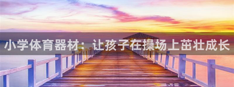 耀世娱乐中国：小学体育器材：让孩子在操场上茁壮成长