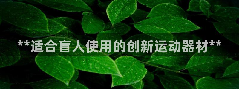 耀世娱乐注册开户：**适合盲人使用的创新运动器材**