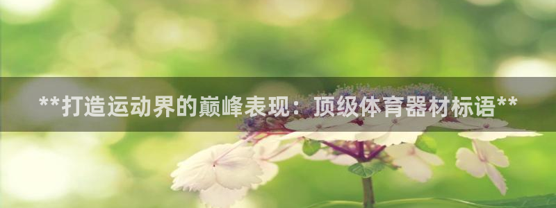 耀世娱乐官网网站首页：**打造运动界的巅峰表现：顶级