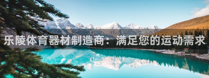 耀世娱乐是什么：乐陵体育器材制造商：满足您的运动需求