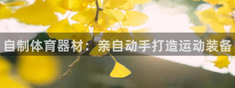 耀世平台：自制体育器材：亲自动手打造运动装备