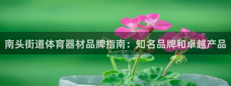 耀世平台注册开户要求：南头街道体育器材品牌指南：知名