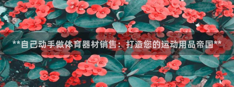 耀世娱乐注册开户：**自己动手做体育器材销售：打造您