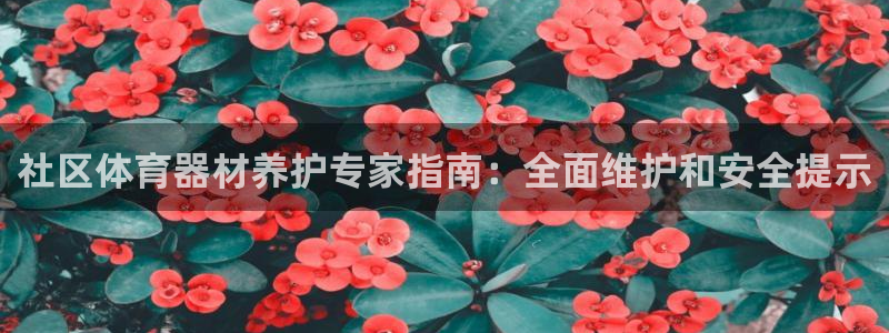 耀世微光歌曲下载：社区体育器材养护专家指南：全面维护