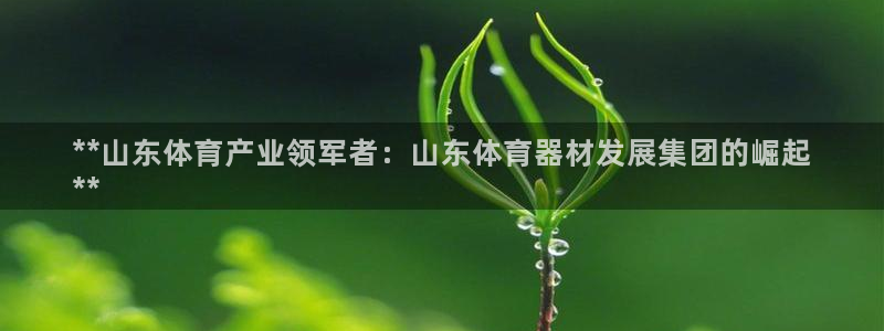 耀世平台注册网址是什么意思：**山东体育产业领军者：