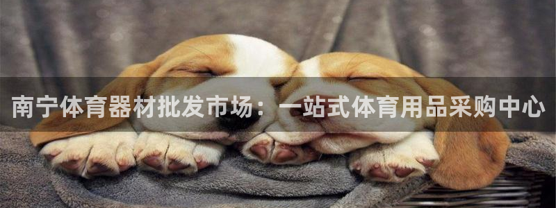 耀世娱乐赢咖APP：南宁体育器材批发市场：一站式体育