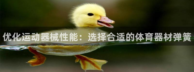 耀世平台非 41IO31 耀世：优化运动器械性能：选