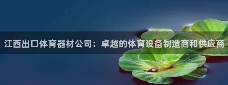 耀世平台信 585341 平台：江西出口体育器材公司