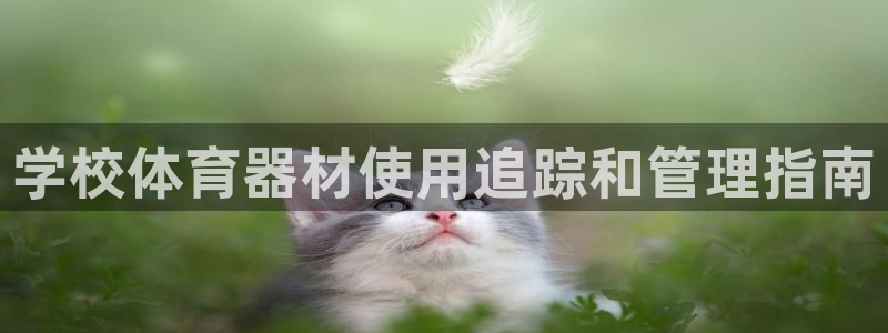 耀世娱乐脚本不死挂机：学校体育器材使用追踪和管理指南