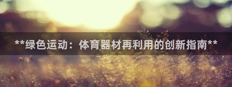 耀世广告：**绿色运动：体育器材再利用的创新指南**