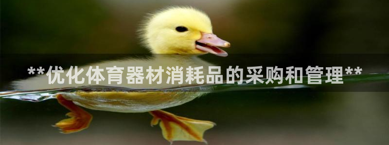 耀世幻主：**优化体育器材消耗品的采购和管理**