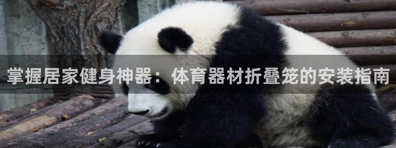耀世娱乐联 585341：掌握居家健身神器：体育器材