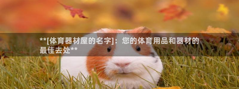 耀世平台代理多少钱一个月：**[体育器材屋的名字]：