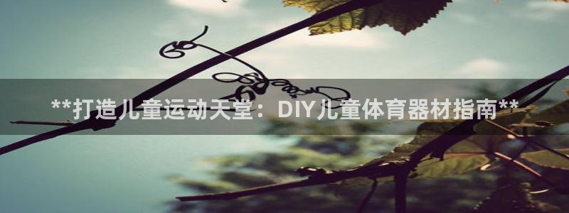 耀世国际平台正规吗安全吗可信吗：**打造儿童运动天堂