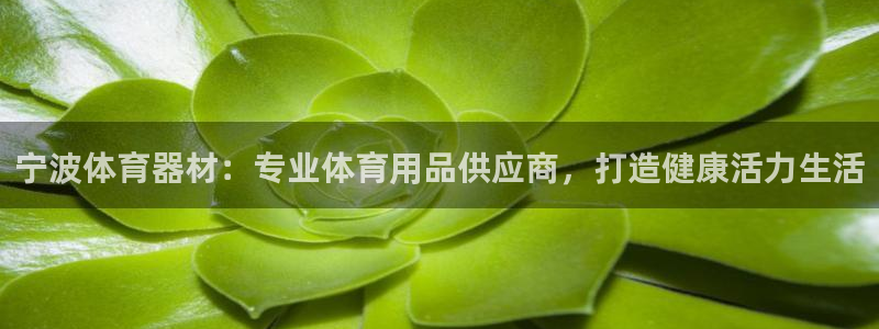 耀世平台开户流程：宁波体育器材：专业体育用品供应商，