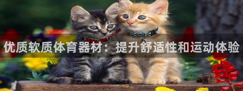 耀世娱乐雷 5O69I7：优质软质体育器材：提升舒适