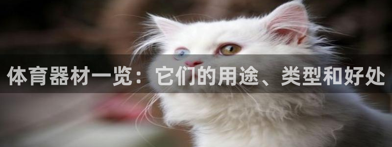 耀世平台注册登录不上：体育器材一览：它们的用途、类型