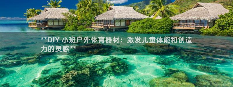 耀世平台有很多登录地址吗：**DIY 小班户外体育器