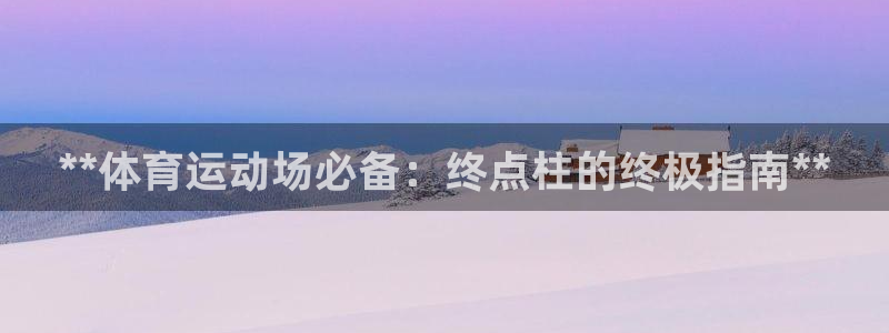 耀世娱乐脚本不死挂机：**体育运动场必备：终点柱的终