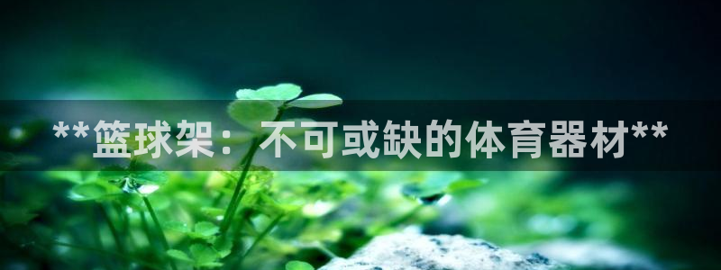 耀世娱乐软件下载官网：**篮球架：不可或缺的体育器材