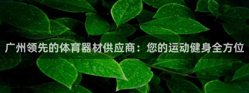 耀世娱乐代理什么待遇：广州领先的体育器材供应商：您的