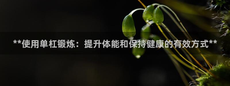 耀世娱乐提现失败怎么办：**使用单杠锻炼：提升体能和