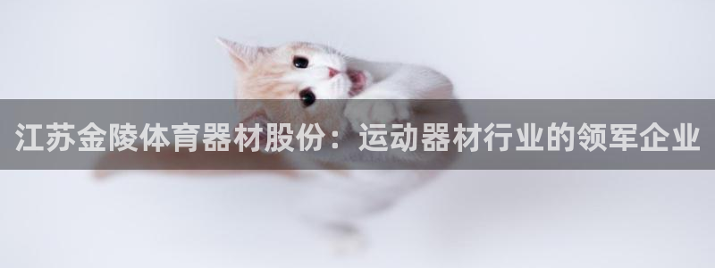 耀世平台哪个彩种是公平彩的：江苏金陵体育器材股份：运