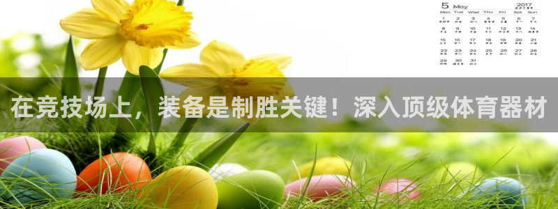 耀世平台注册登录不上怎么回事：在竞技场上，装备是制胜