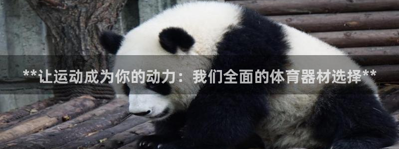 耀世娱乐出款快吗知乎：**让运动成为你的动力：我们全