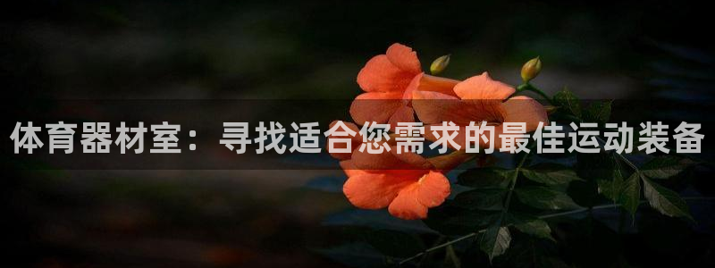 耀世娱乐违法吗：体育器材室：寻找适合您需求的最佳运动
