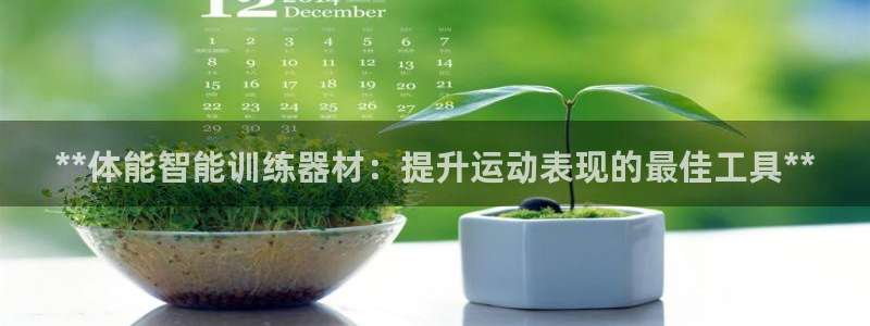耀世盛典手游：**体能智能训练器材：提升运动表现的最