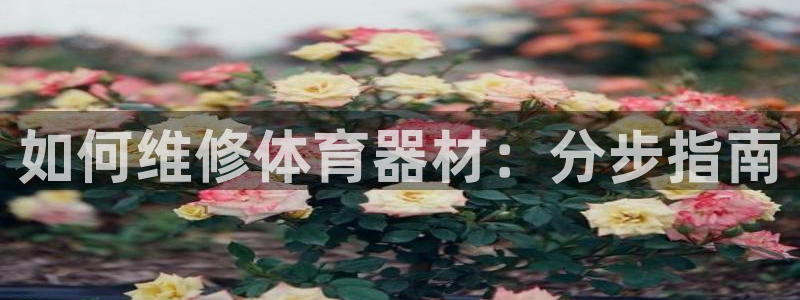 耀世娱乐官网首页登录入口：如何维修体育器材：分步指南