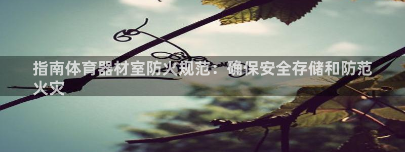 哪吒s耀世版价格：指南体育器材室防火规范：确保安全存