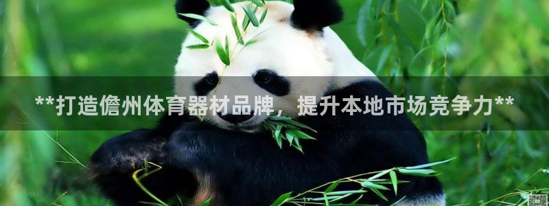耀世娱乐是不是很黑的：**打造儋州体育器材品牌，提升