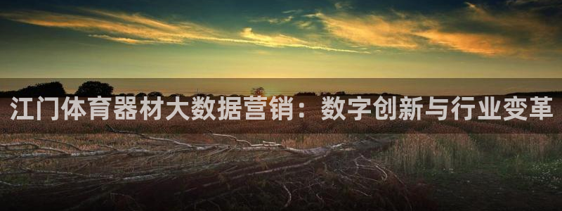 耀世三国官网：江门体育器材大数据营销：数字创新与行业